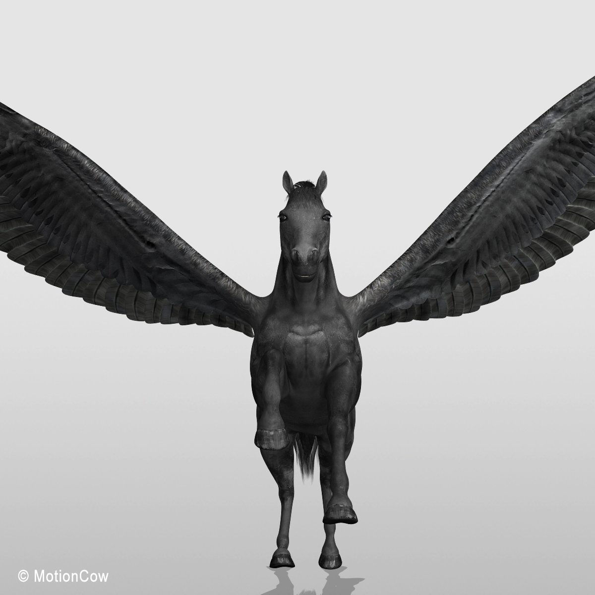 3d horse black pegasus