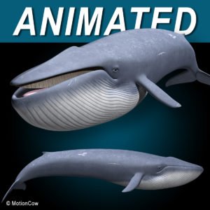 Blue Whale – MotionCow