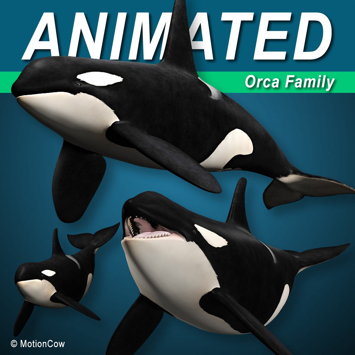 Orca (Killer Whale) Family – MotionCow